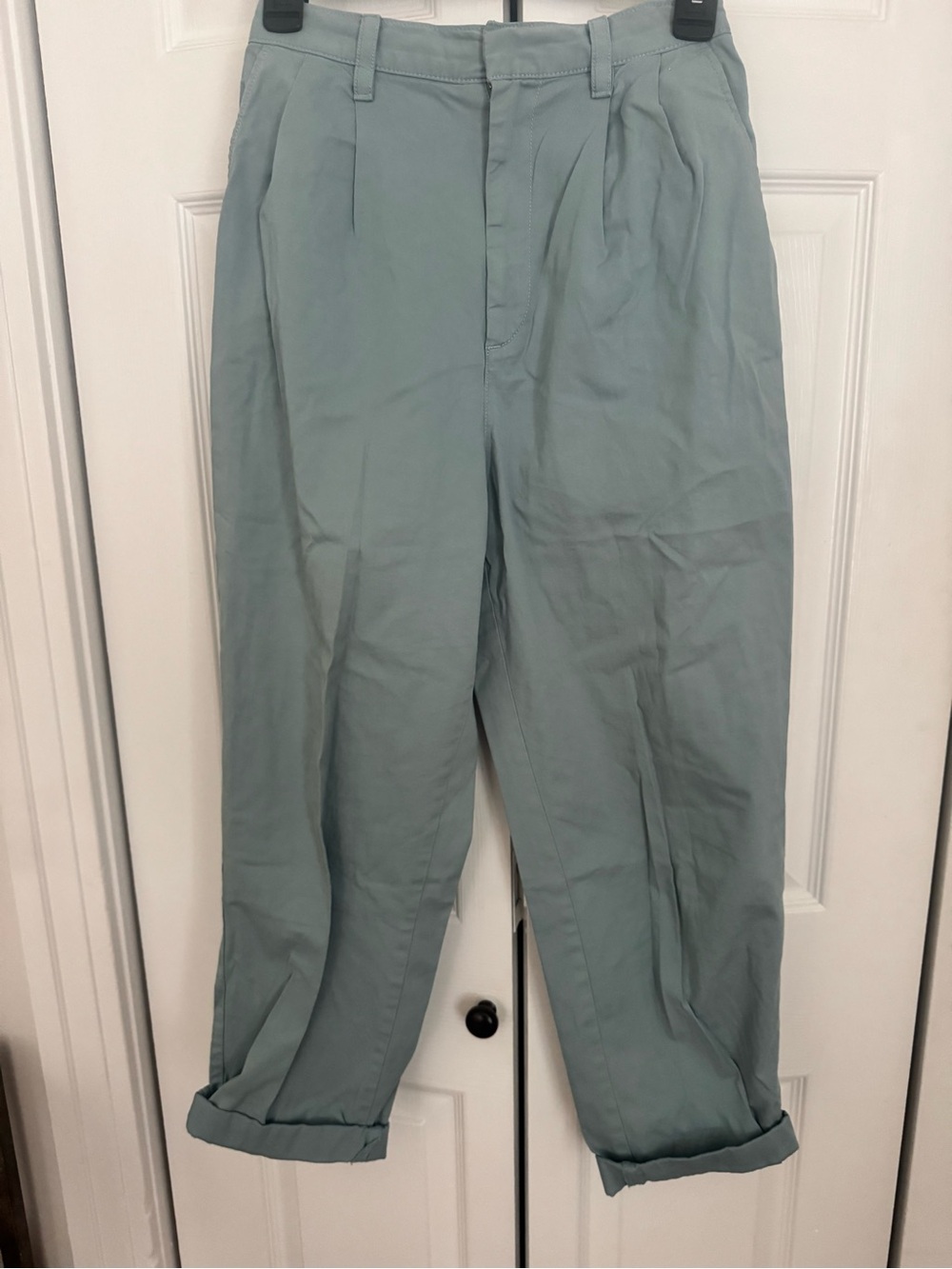 GAP Light Blue Pleated Chinos
